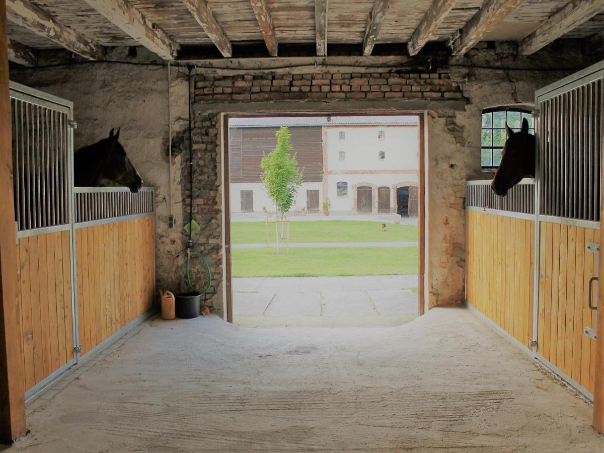 Gutshof Marienthal Apartamento